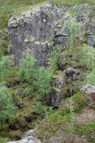 DSC05388.JPG