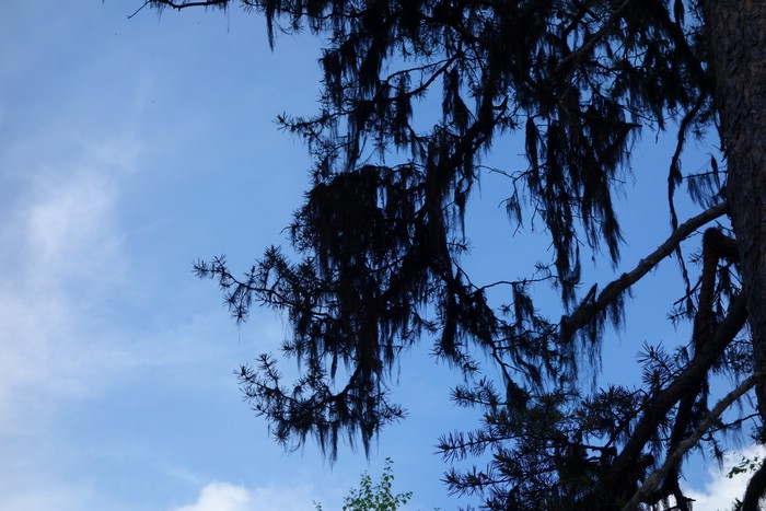 DSC05575.JPG
