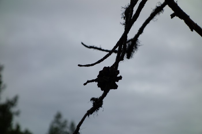 DSC05600.JPG