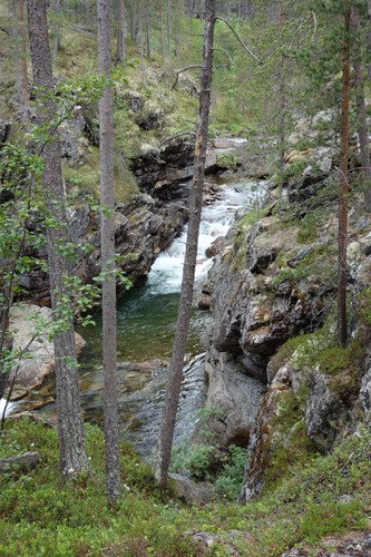 DSC05601.JPG