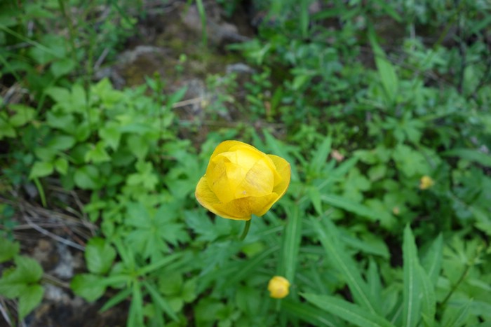 DSC05615.JPG
