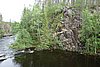 DSC05359.JPG