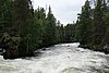 DSC05360.JPG