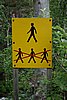 DSC05375.JPG