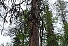 DSC05376.JPG