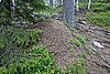 DSC05377.JPG