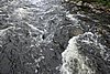 DSC05379.JPG