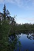 DSC05381.JPG