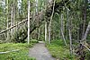 DSC05383.JPG