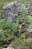 DSC05388.JPG