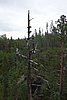 DSC05390.JPG