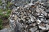 DSC05391.JPG