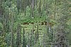 DSC05397.JPG