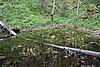 DSC05401.JPG
