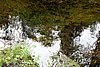 DSC05405.JPG