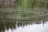 DSC05410.JPG