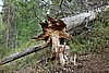 DSC05418.JPG