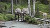DSC05427.JPG