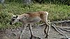 DSC05430.JPG