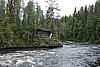 DSC05439.JPG