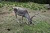 DSC05443.JPG