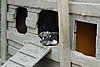 DSC05445.JPG
