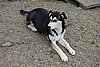 DSC05446.JPG