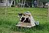 DSC05447.JPG