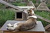 DSC05449.JPG