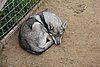 DSC05450.JPG