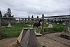 DSC05453.JPG