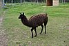 DSC05460.JPG