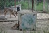 DSC05461.JPG