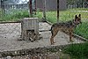 DSC05462.JPG
