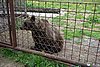 DSC05463.JPG