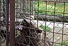 DSC05466.JPG