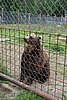 DSC05470.JPG