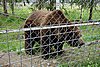 DSC05486.JPG