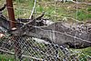 DSC05491.JPG