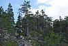 DSC05496.JPG