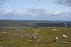 DSC05540.JPG