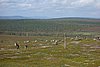 DSC05541.JPG