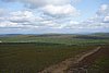 DSC05545.JPG