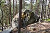 DSC05549.JPG