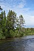 DSC05562.JPG