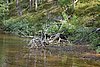 DSC05565.JPG