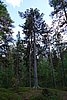 DSC05572.JPG