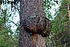 DSC05574.JPG