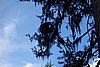DSC05575.JPG