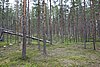 DSC05593.JPG